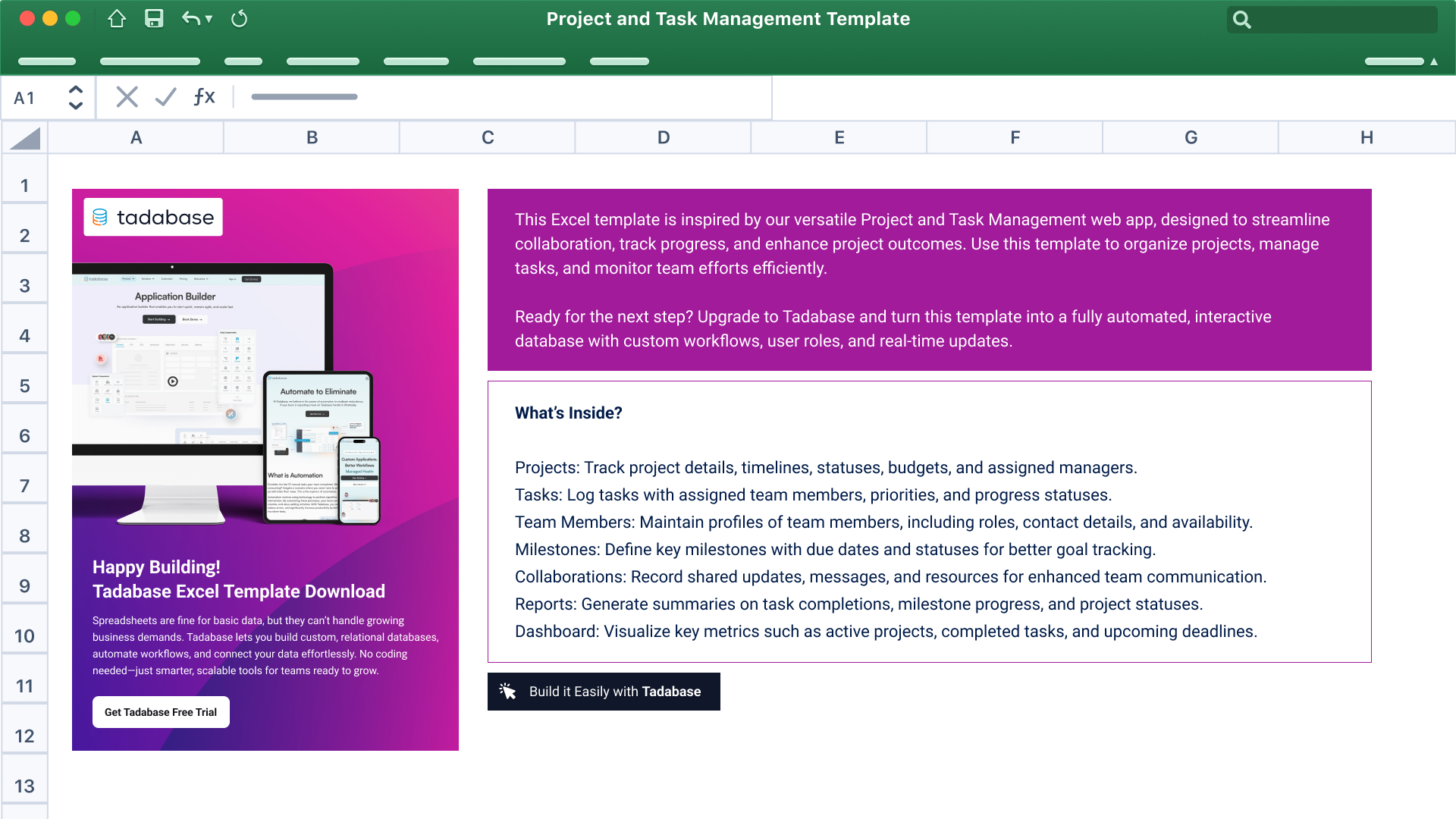 Project and Task Management Spreadsheet Template