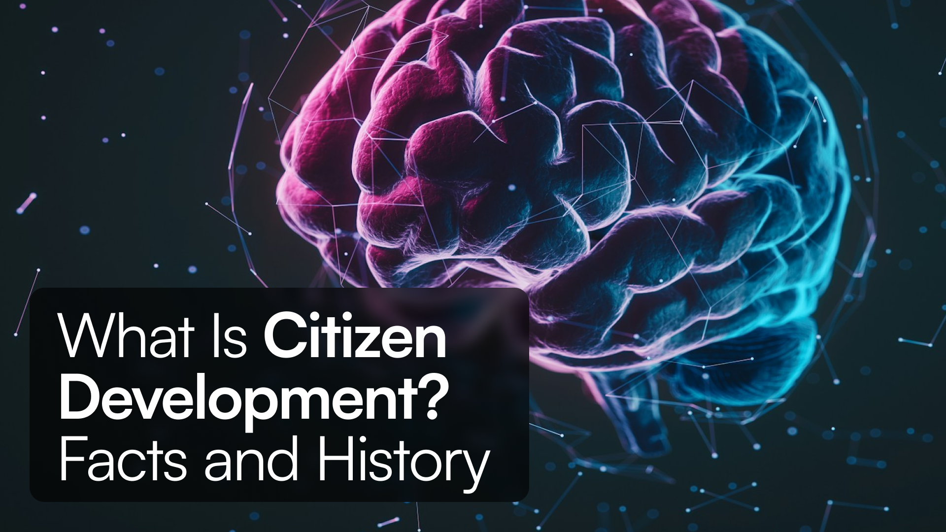 What Is Citizen Development? - Facts and History